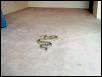 Treasure 03/09/2002