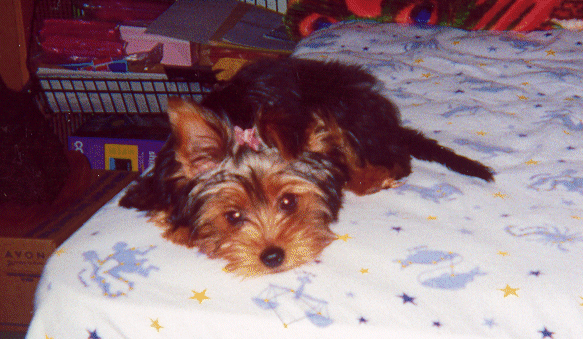 Ling-Ling sweet face