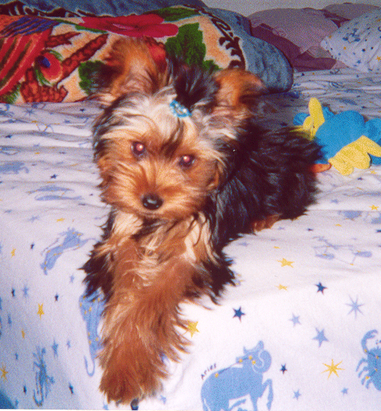 Ling-ling Posing