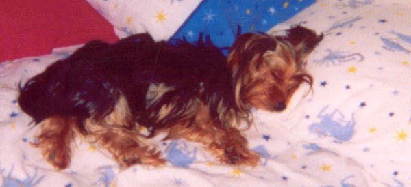 Sleeping Beauty