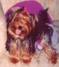 9 months