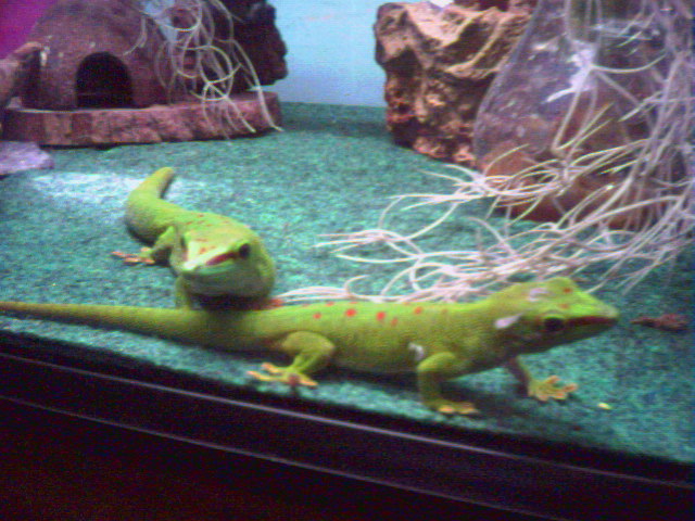 Penelope and Squiggy
