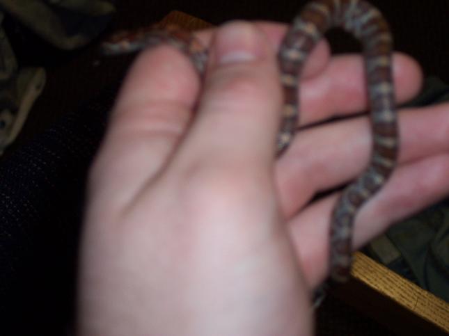 Jack