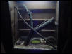 My homemade cage