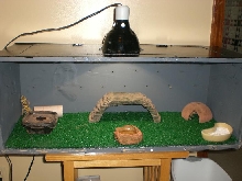 Homemade Cage