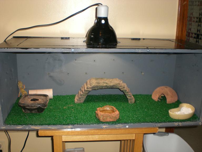 Homemade Cage
