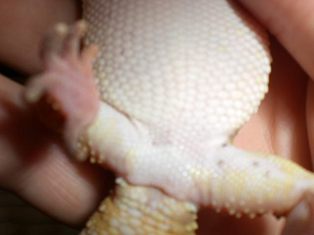 Male or female?