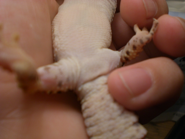 Male or female?