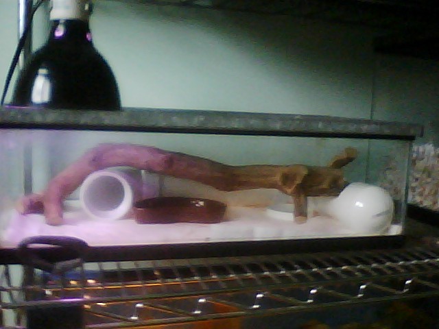 pvc hide1