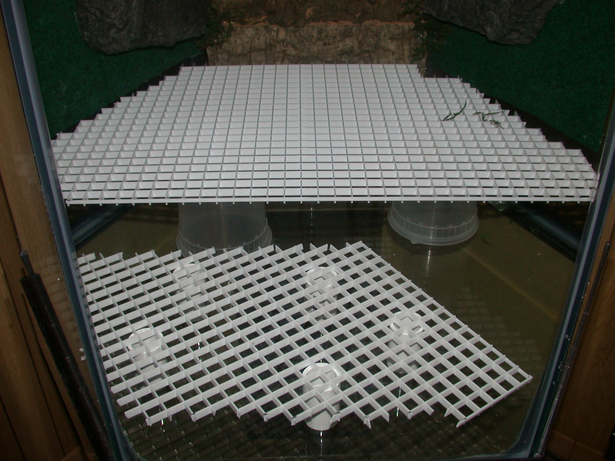 false bottom 2 tier