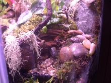 60 G. hex right waterfall