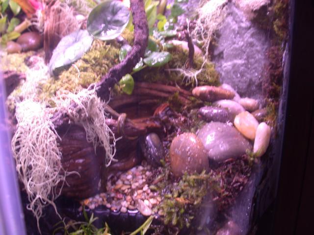 60 G. hex right waterfall