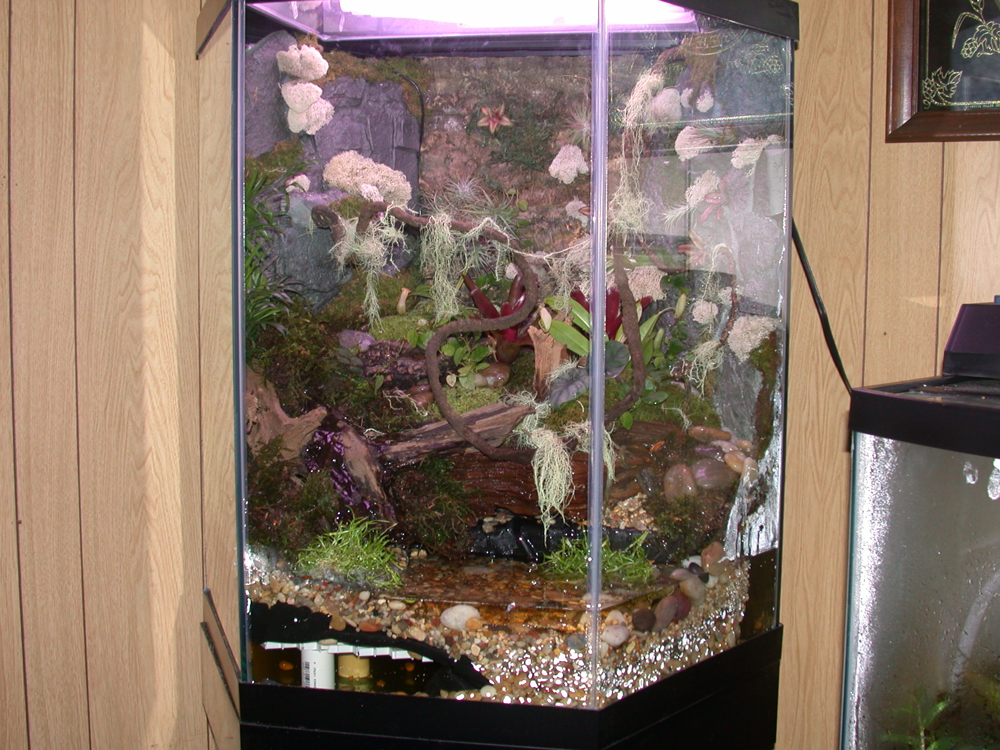 finished tank