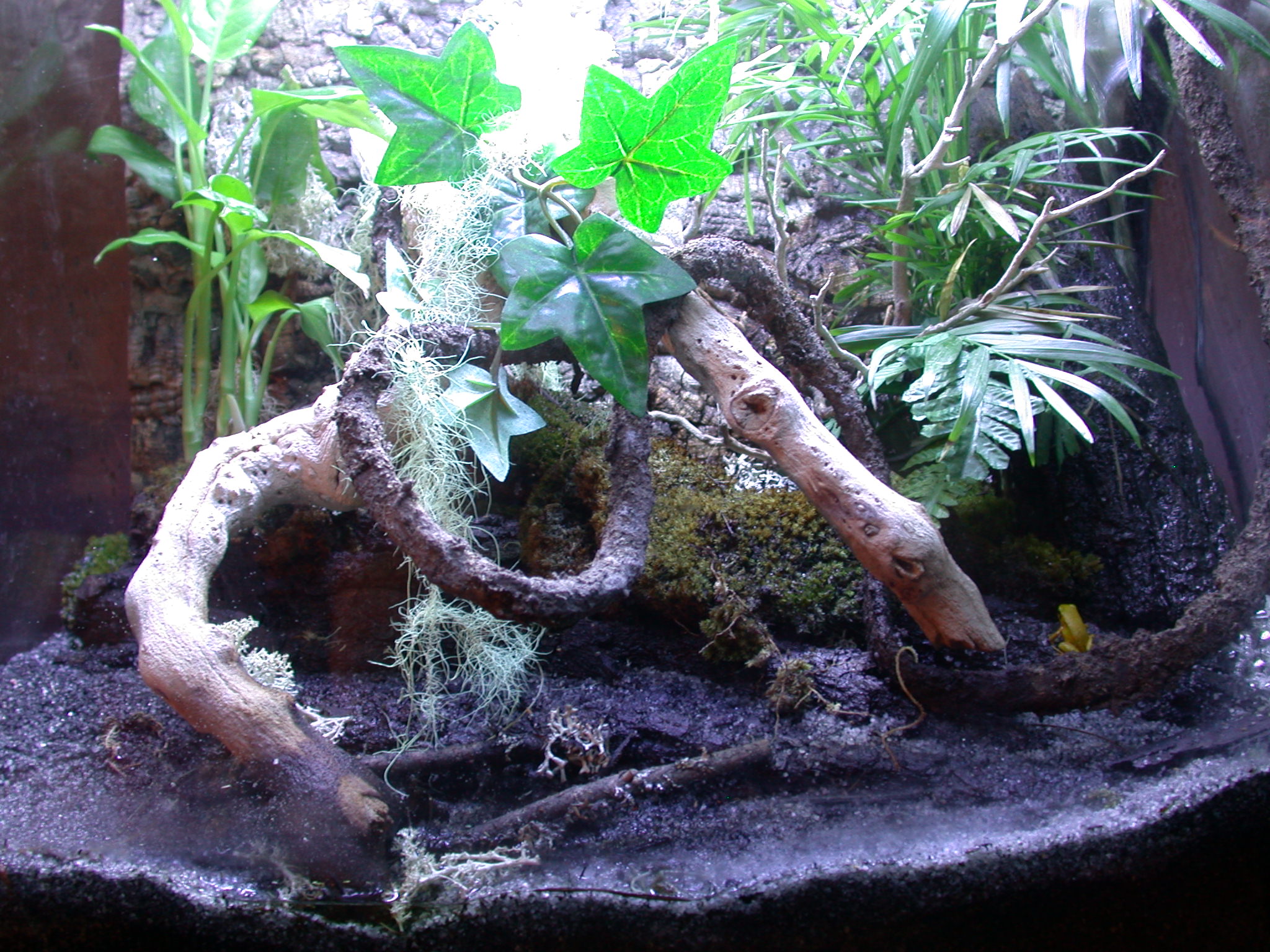 mantella's world