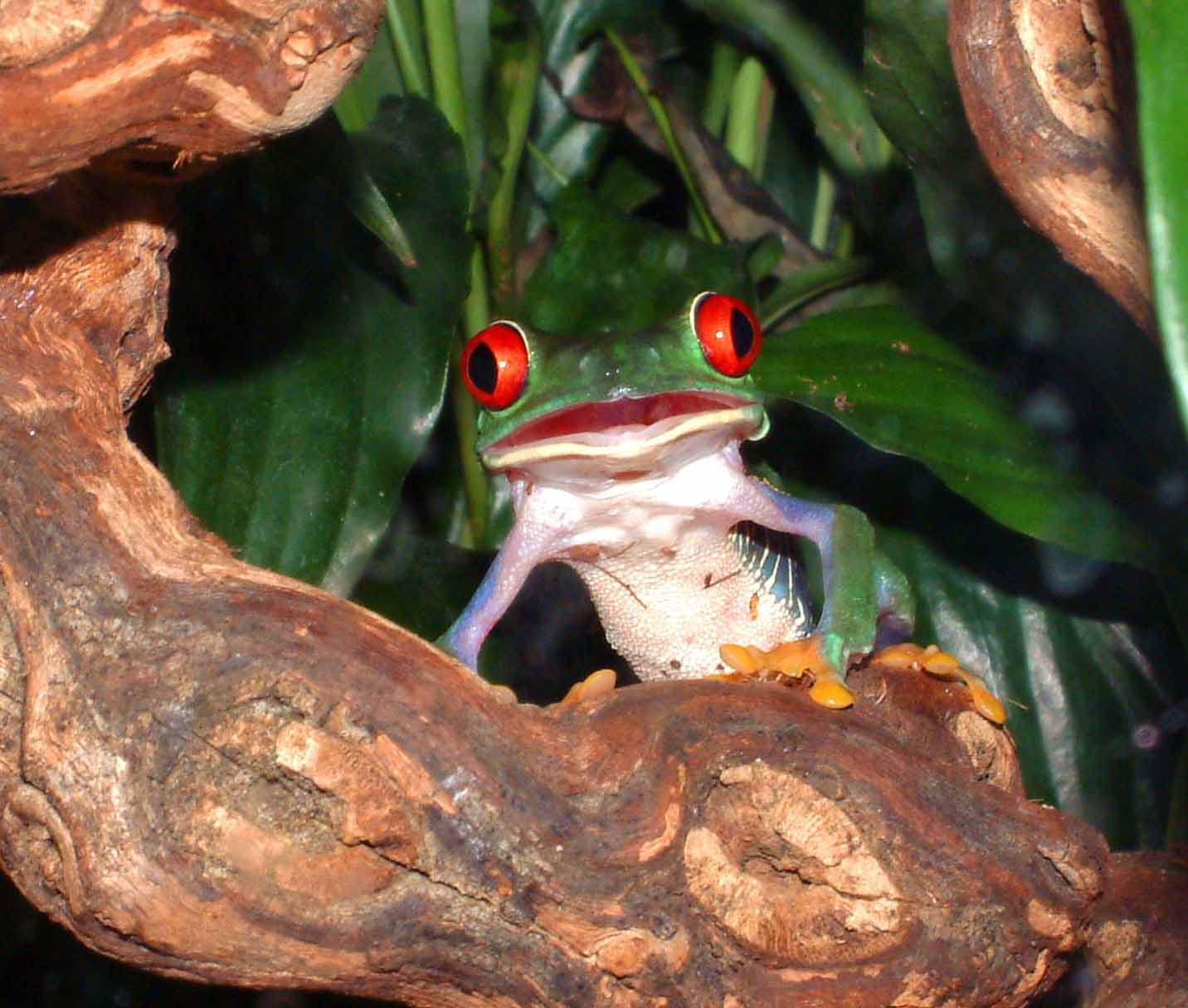 U lookin at me