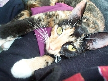 portrait of Holly