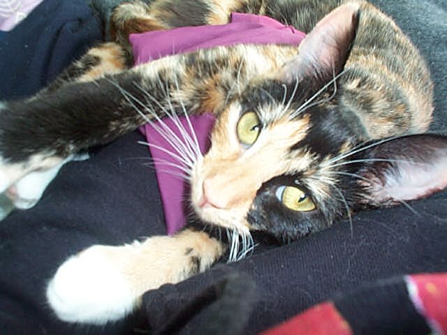 portrait of Holly