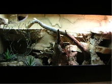 Vivarium