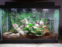Dr Evil's Tank