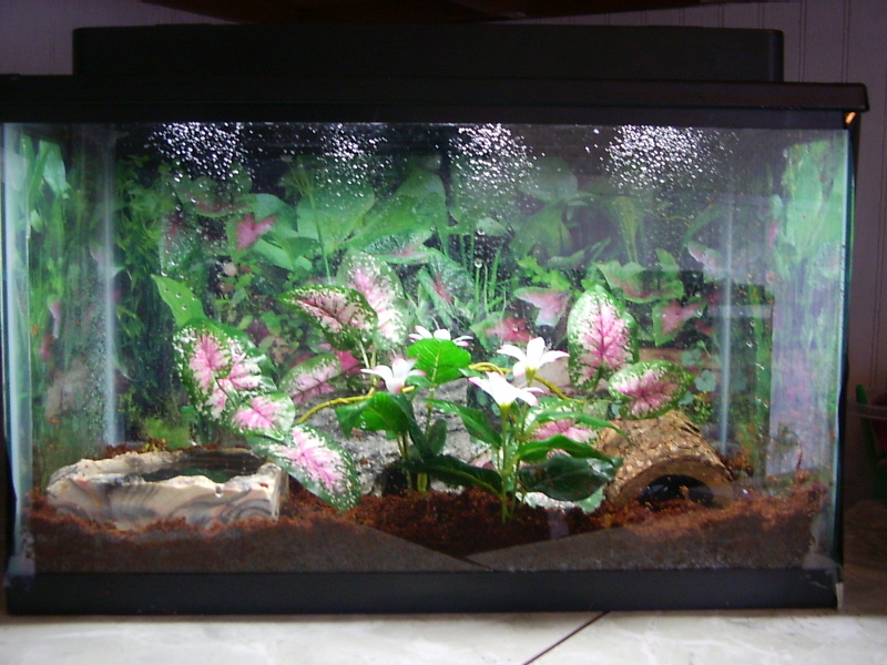 Dr Evil's Tank