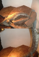 trying to capture her tripoding