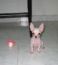 my baby