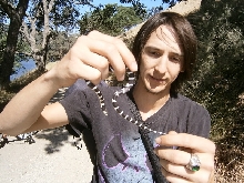baby cal king