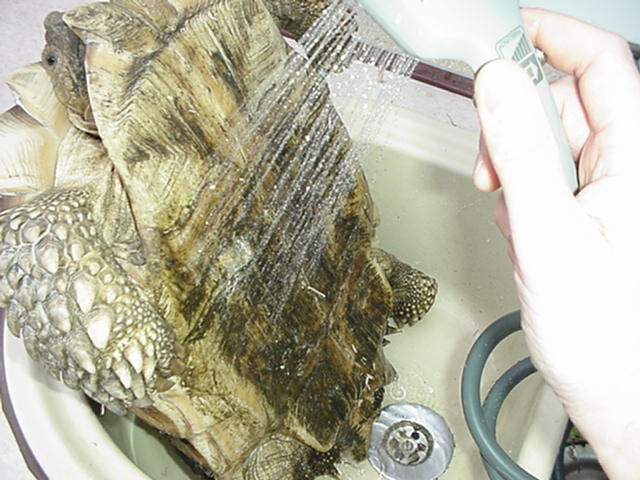 Hey dudes, do you mind I'm taking a bath!!