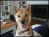 Hi! my name is Nico!