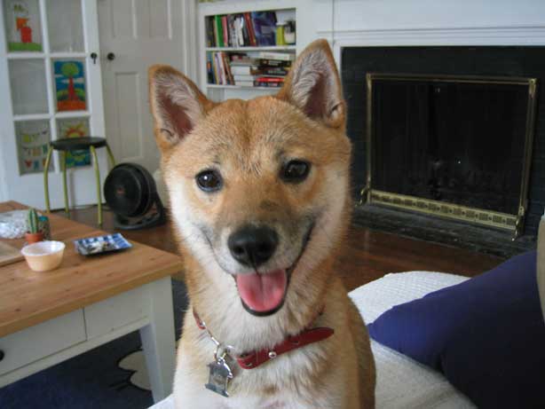 Hi! my name is Nico!