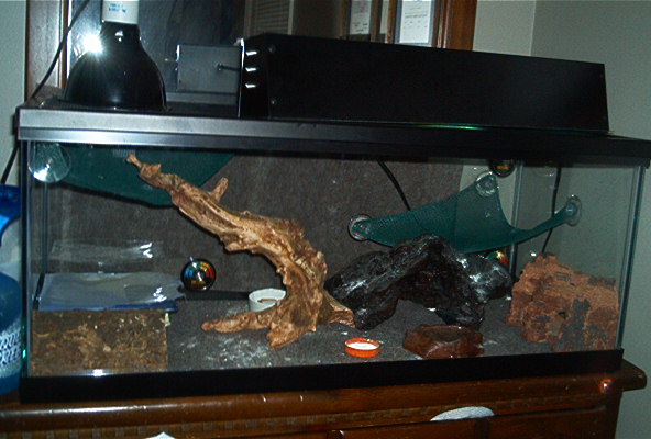 Tank Setup