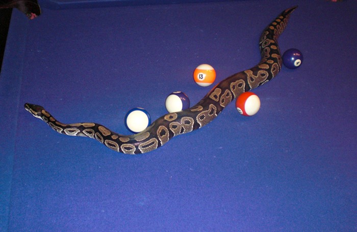 Rusty on the pool table