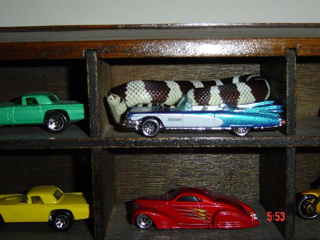 King & Cars