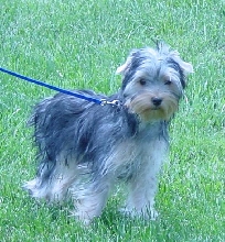 Josiah Outside