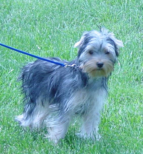 Josiah Outside