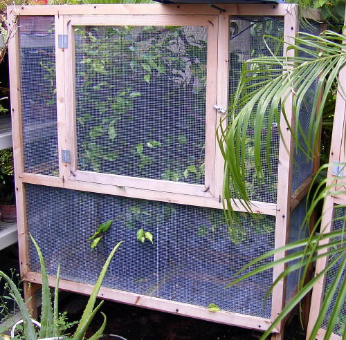 LG CAGE
