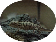 PIC FROM RYAN