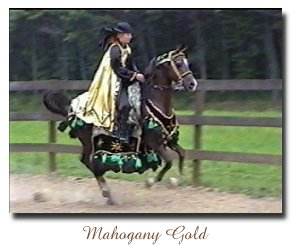 Mahogany Gold