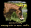 2002 filly