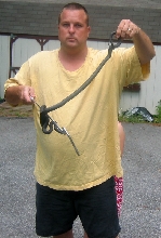 Black Ratsnake