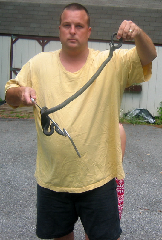 Black Ratsnake