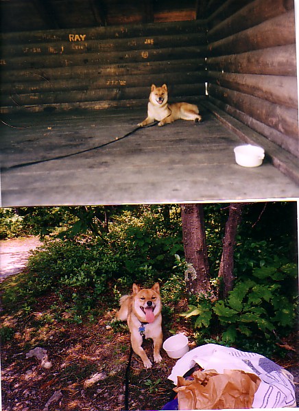 Neka Hut