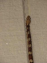 Unamed ratsnake2