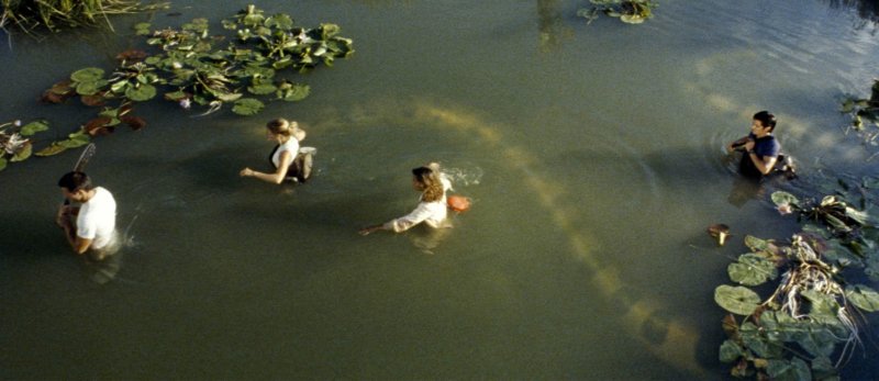 Large Anaconda