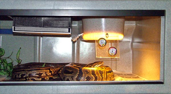 New RHP installation (3)