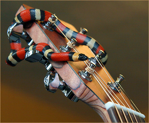 My pueblan and my guitar