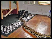 In his playroom