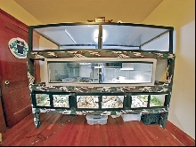 New cages (2)