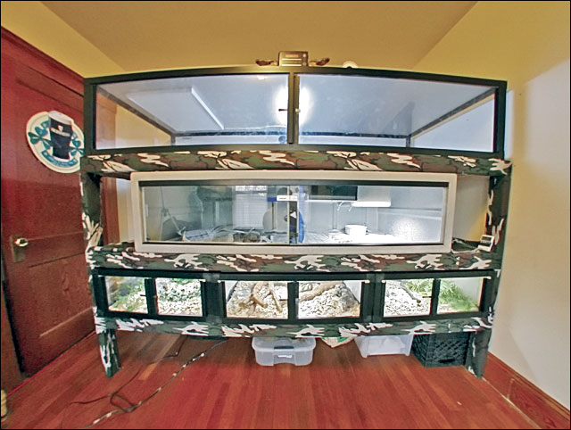 New cages (2)