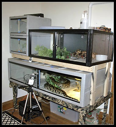 Cage setup (11.28.2004)